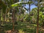 Land for sale in ganemulla