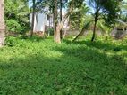 Land for Sale in Ganemulla
