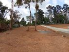 Land for Sale In Ganemulla