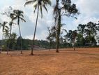 Land For Sale In Ganemulla