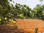 Land for Sale in Ganemulla