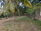 Land for Sale in Ganemulla