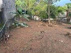 Land for sale in ganemulla