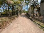 Land for sale in ganemulla