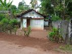 Land for sale in Ganemulla | Thibbotugoda