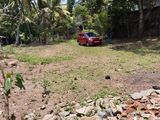 Land for Sale in Ganemulla Town Area
