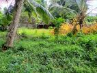 Land for Sale in Ganemulla Town