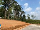 Land for Sale in Ganemulla Town
