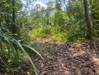 Land for Sale in Ganemulla Town
