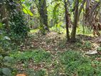 Land For Sale in Gannoruwa - Peradeniya