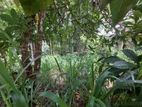 Land for Sale in Gelioya