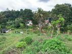 Land for sale In Gelioya