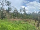 Land for sale in Gelioya