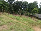 Land for Sale in Gelioya