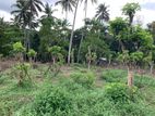 Land for Sale in Gelioya