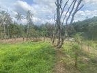 Land for sale in Gelioya