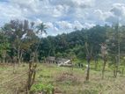 Land for Sale in Gelioya