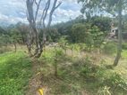 Land for sale in Gelioya