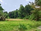 Land for Sale in Gelioya
