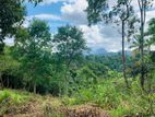 Land for Sale in Gelioya