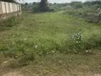Land for Sale In Gelioya