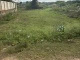 Land for Sale In Gelioya