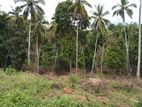 Land for sale in Gelioya-Petiyagoda