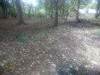 Land for Sale in Gepallawa 31 P