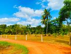 Land For Sale In Gepallawa