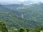 Land for Sale in Ginigathhena