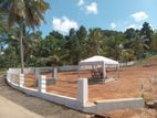 Land for Sale in Giriulla C 7