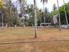 Land for Sale in Giriulla City ( Nalla Road)