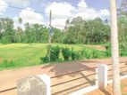 Land for Sale in Giriulla Dambadeniya Y134