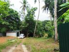 Land for Sale in Giriulla