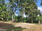 Land for Sale in Giriulla