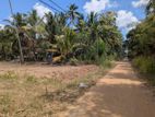 Land for Sale in Giriulla