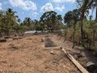 Land for Sale in Giriulla