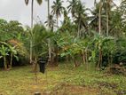 Land for Sale in Giriulla