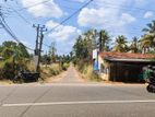 Land for sale in giriulla