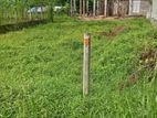 Land for Sale in Giriulla, Nalalla