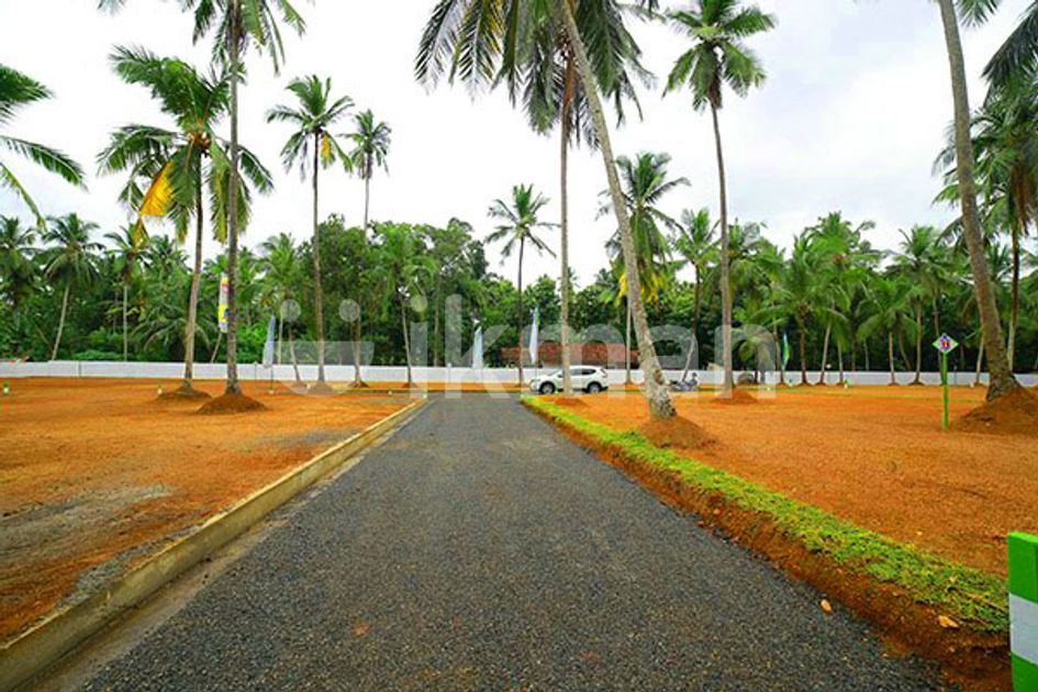 Land for Sale in Giriulla Nalla City -12P | ikman