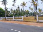 Land for Sale in Giriulla Nalla