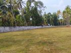 Land for Sale in Giriulla Nalla