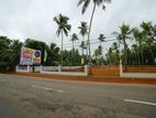 Land for Sale in Giriulla Nalla