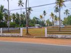 Land for Sale in Giriulla Nallaa