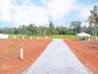 Land for Sale in Giriulla O4
