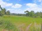 Land for sale in Giriulla - S31