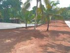 Land for Sale in Giriulla, T58