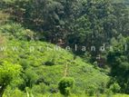 Land for Sale in ගලහ