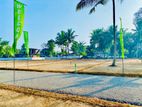 Land for Sale in ගනේමුල්ල